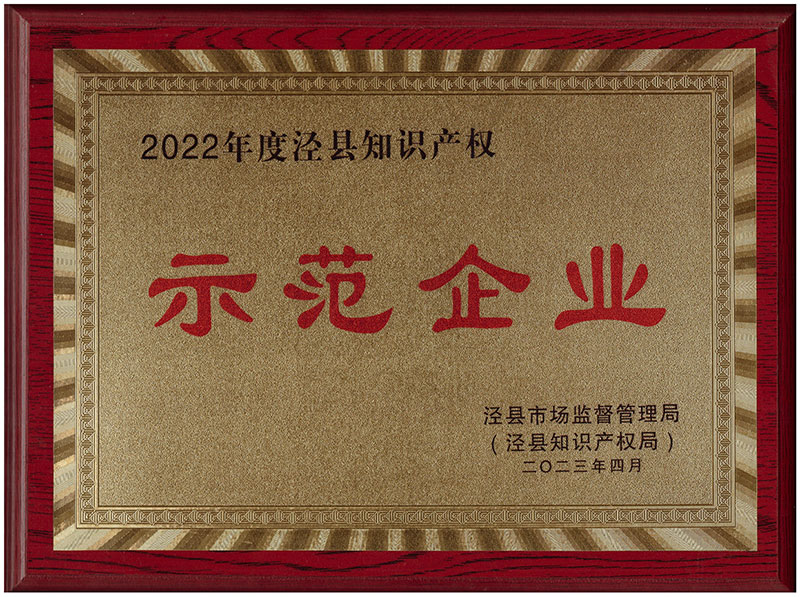 2023年泾县知识产权示范企业